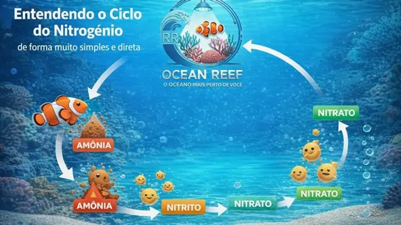 3.2 Entendendo o Ciclo do Nitrogênio de forma muito simples e direta