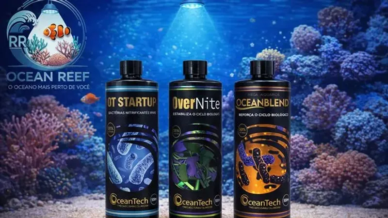 3.4 Aceleração profissional: Como usar o Start Up e o Overnite no primeiro dia