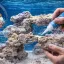 2.6 Aquascaping passo a passo: Como colar e montar um layout maravilhoso