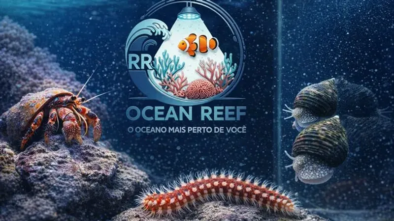 4.2 Paguros, Mini Turbos e verme de fogo: Os trabalhadores incansáveis das rochas e do vidro