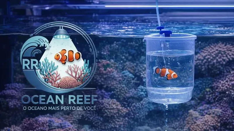 4.4 Aclimatação de Elite: O Ritual de Segurança para Seus Invertebrados e Peixes