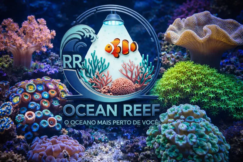 6.3 Joias Perfeitas Para Iniciantes: Kenia Tree Zoanthus Palytoas Mushs Leathers e Green Star Polyps