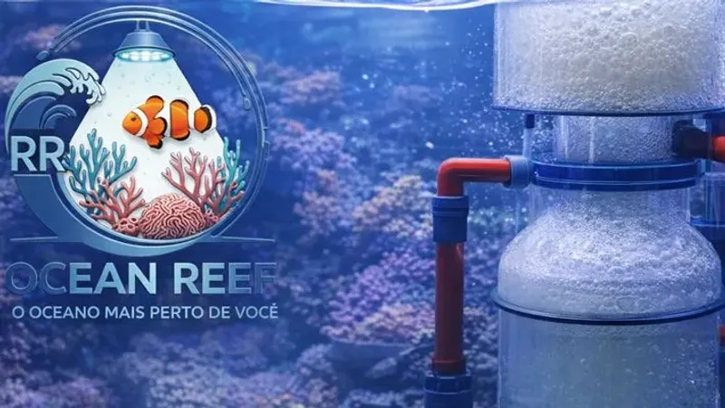 1.5 Skimmer: O Grande Pulmão do Aquário e Como Escolher o Modelo Certo