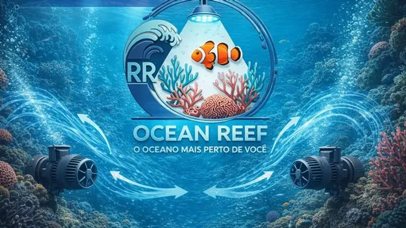 1.6 Bombas de Recalque e Circulação: Criando as Correntes Oceânicas Ideais
